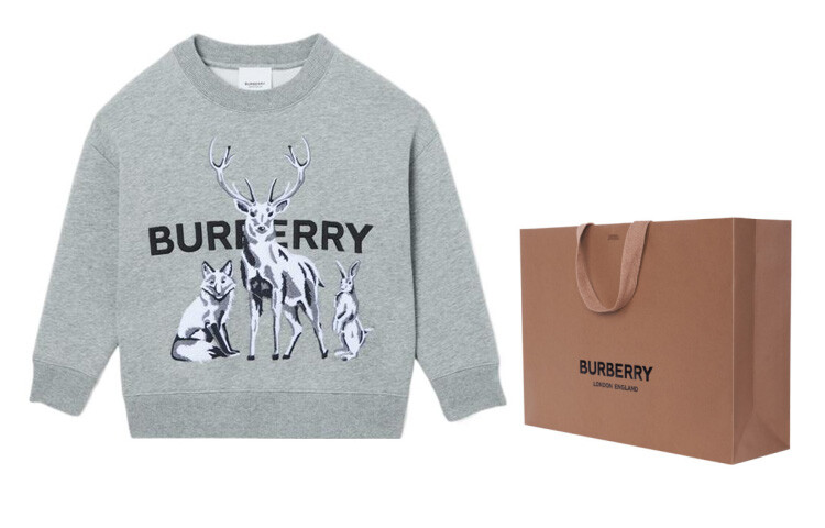 Детская толстовка Burberry, цвет Gray and Exclusive Gift Box (Including Original Bag and Box) — фото 2
