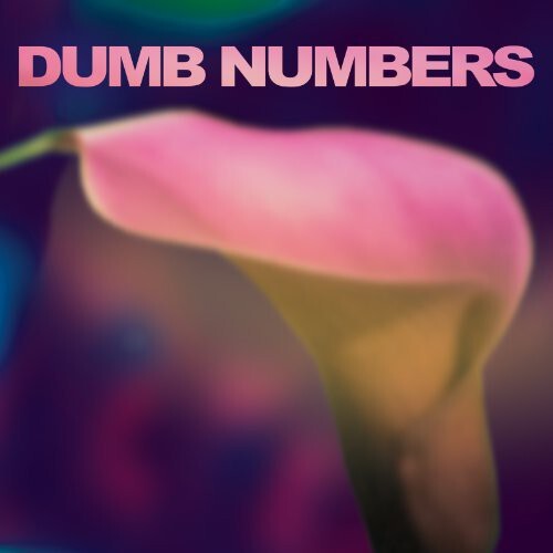 

Виниловая пластинка Dumb Numbers: Dumb Numbers