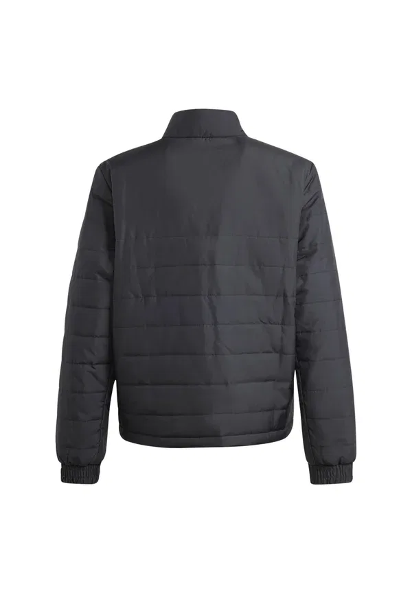 Куртка зимняя Adidas Performance Entrada, черный — фото 2