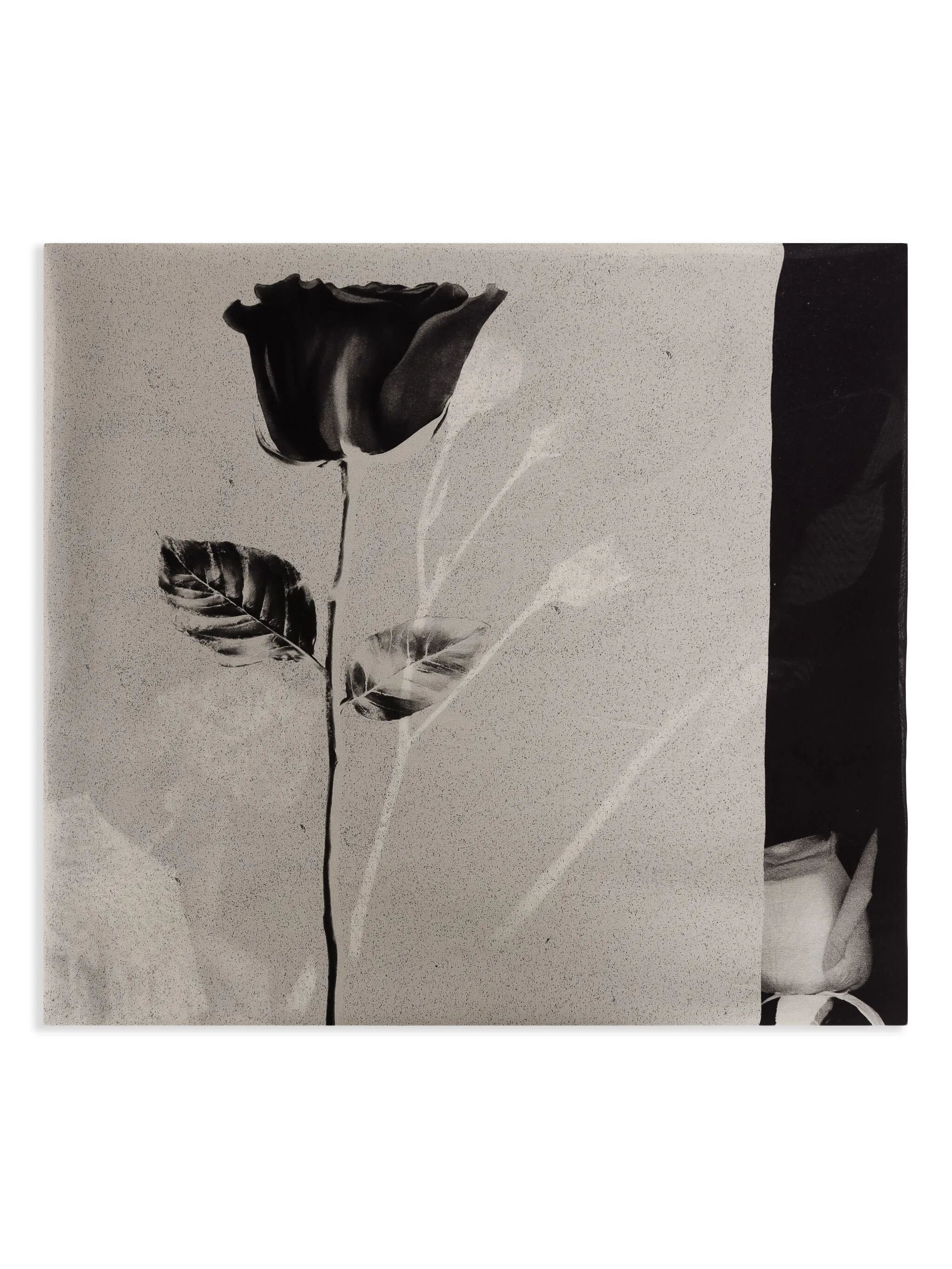 

Шарф с цветочным принтом Osklen, черный