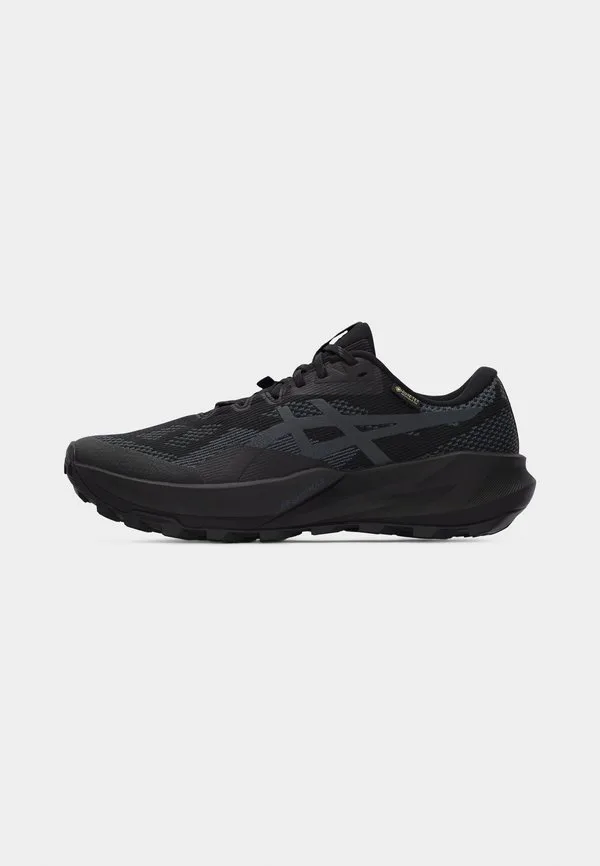Кроссовки для трейлраннинга trabuco 14 gtx Asics, Black/Graphite Grey — фото 2