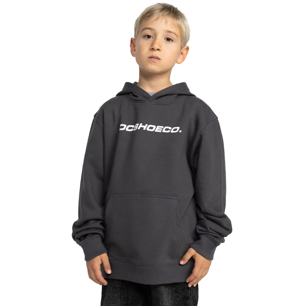 

Детская толстовка DC Shoes Whereabouts, черный