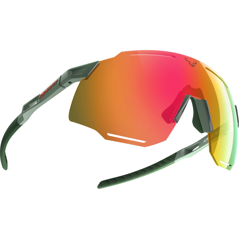 

Спортивные очки Alpine Evo 3 Dynafit, зеленый