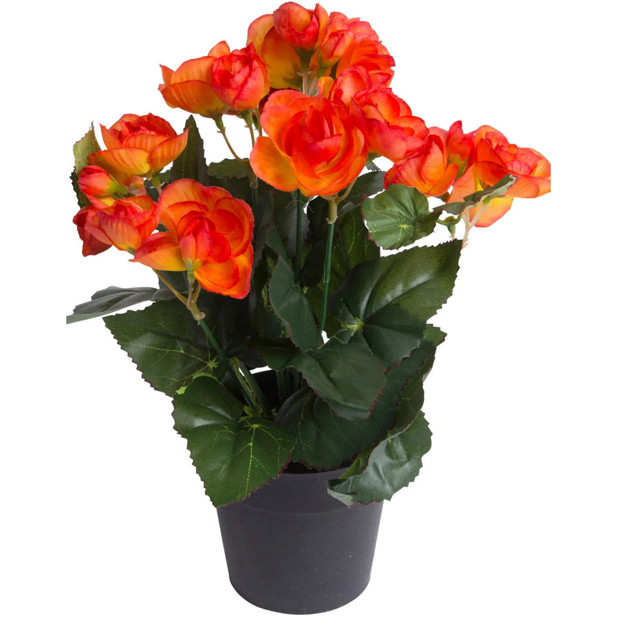 

Искусственный цветок Botanic-Haus «Кустовая бегония 7 стеблей», цвет orange