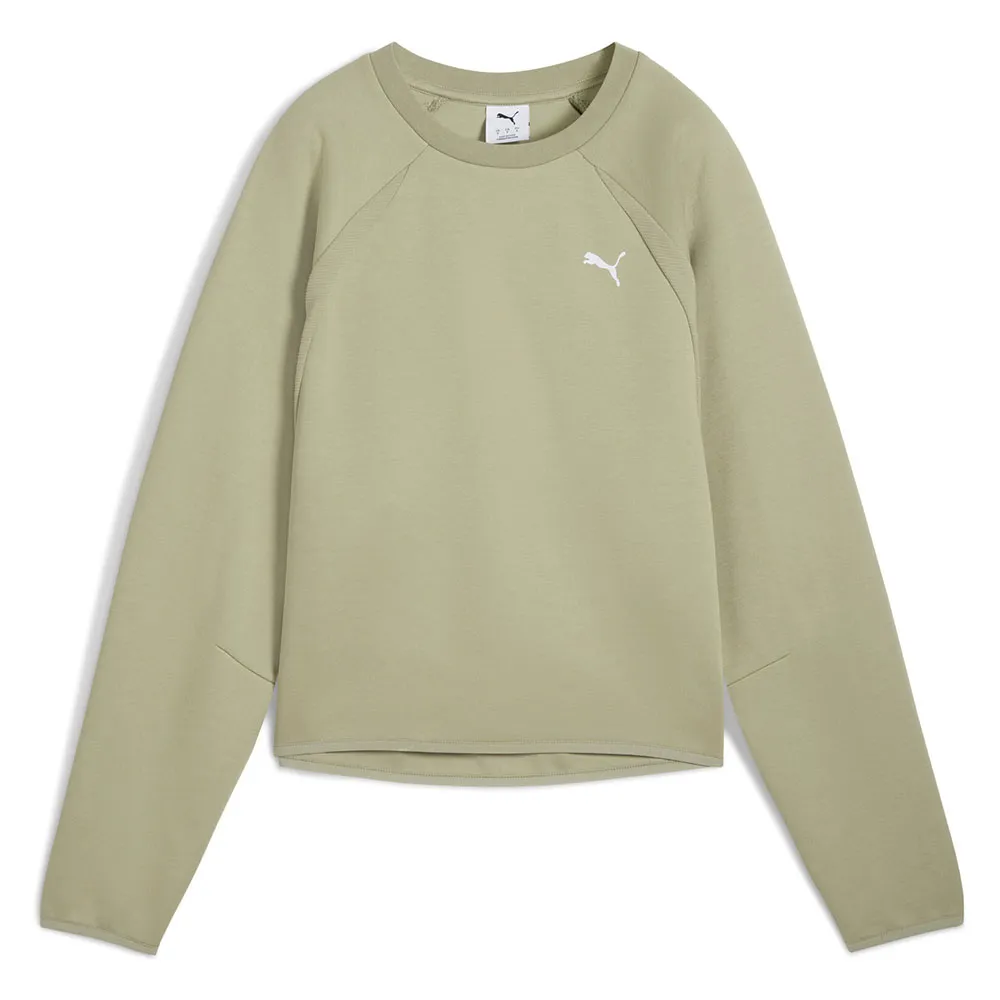 

Толстовка Puma Evostripe Comfort Short, зеленый