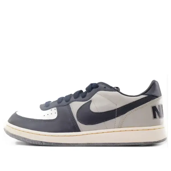 

Кроссовки terminator low vntg 'granite dark obsidian sail' Nike, мультиколор