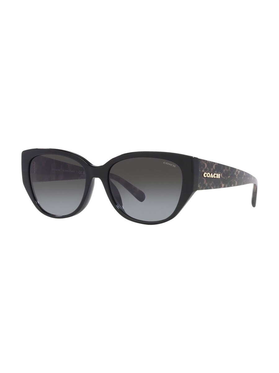 

Солнцезащитные очки COACH Sunglasses, черный