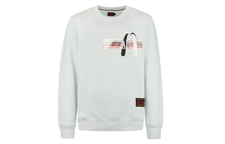 

Толстовка мужская серебристо-серая Evisu, серый