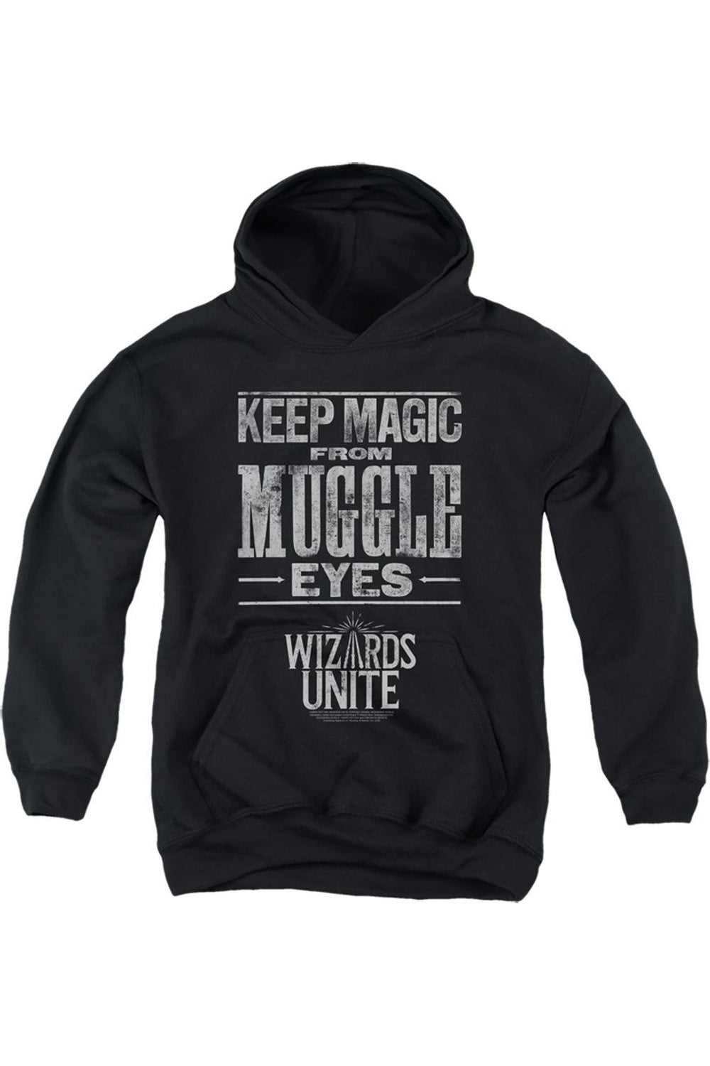 

Толстовка с капюшоном Harry Potter Wizards Unite "Скрытая магия" для молодежи Gildan, черный