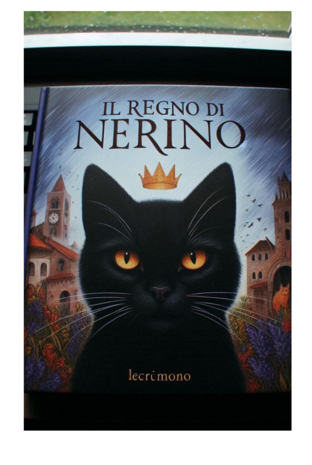 

Il Regno di Nerino (Italian Edition) (Independently published)