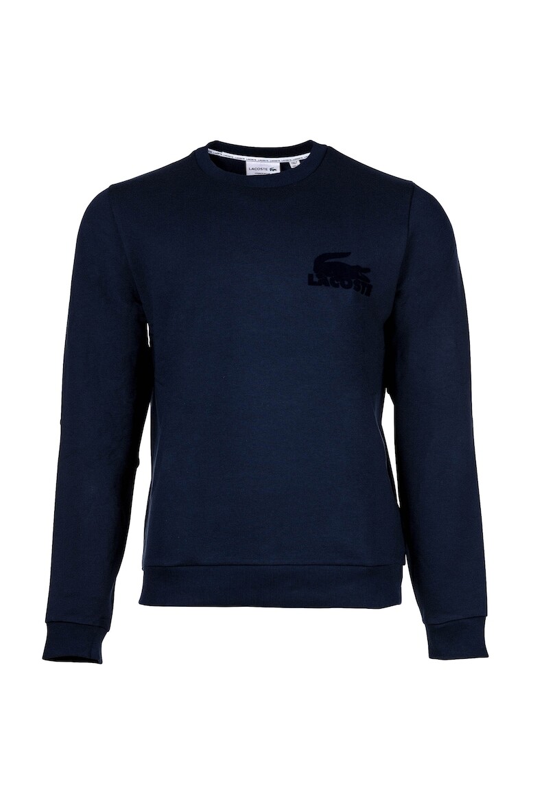 

Толстовка с логотипом Lacoste, синий
