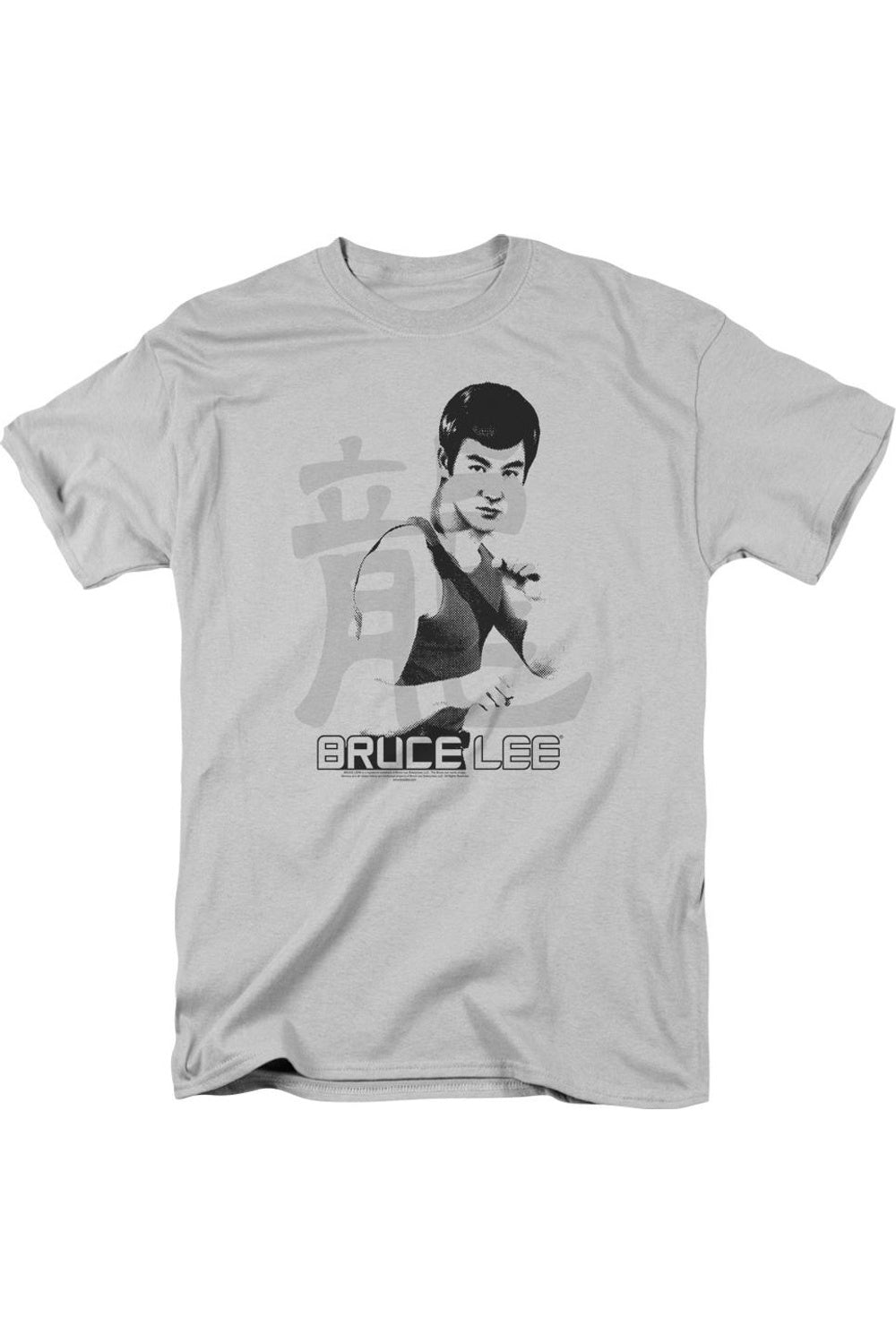 

Футболка с коротким рукавом для взрослых с надписью «Bruce Lee Punch» Gildan, серебряный