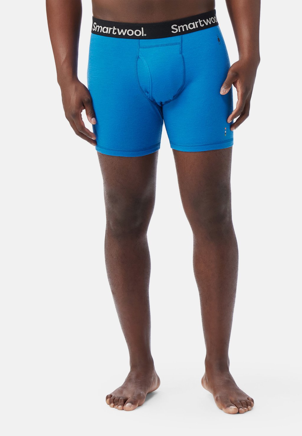 

Брюки Smartwool, синий
