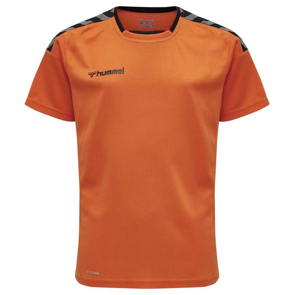 

Футболка Hummel Authentic Poly, оранжевый