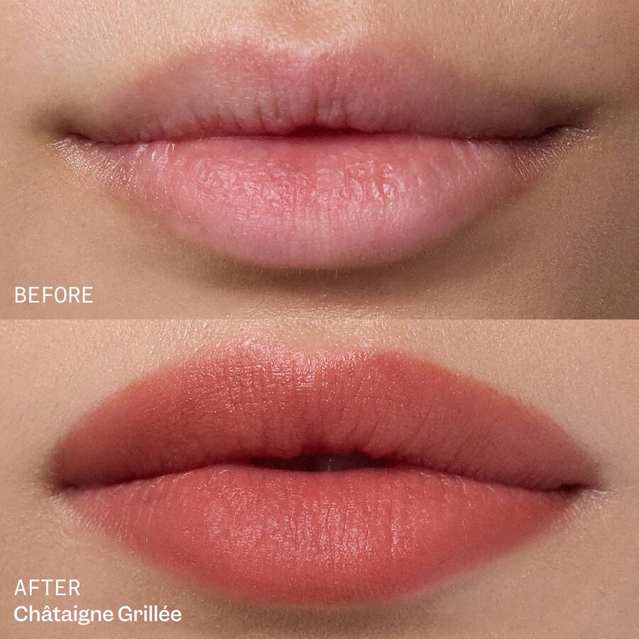 Увлажняющая матовая помада PLUME LIP VIOLETTE_FR, 0.12 oz/3.3 g, Châtaigne Grillée — фото 4