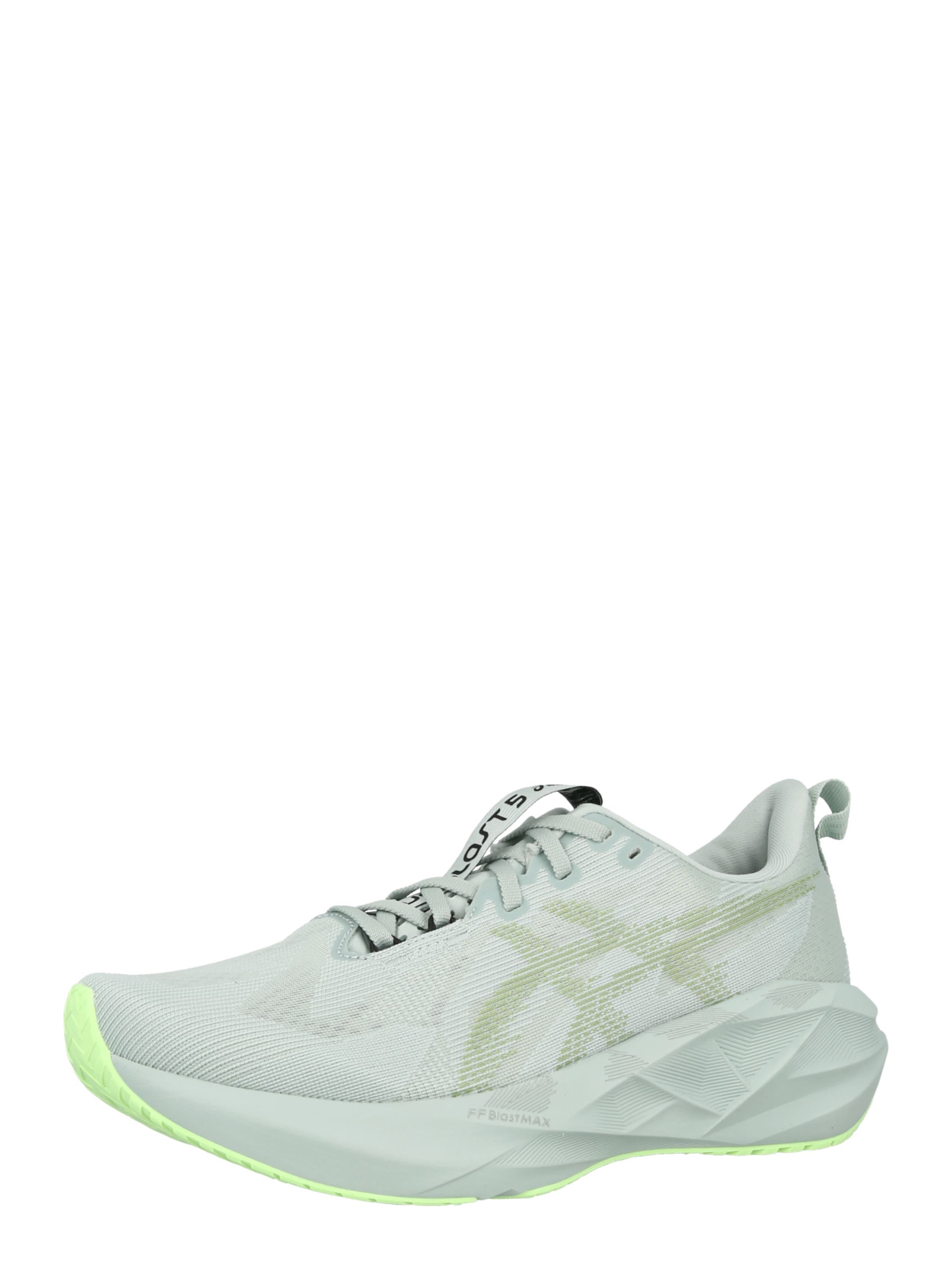 

ASICS Кроссовки для бега 'NOVABLAST 5' в цвете Mint, Light Green