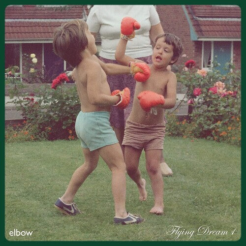 

Виниловая пластинка Elbow: Flying Dream 1