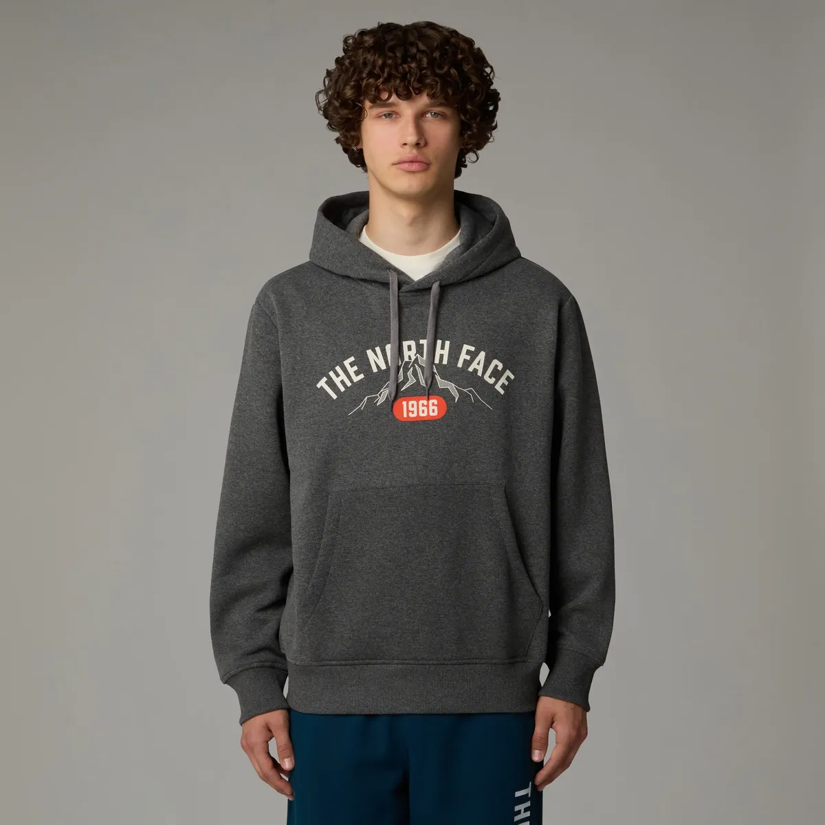 

Толстовка The North Face с капюшоном, серый