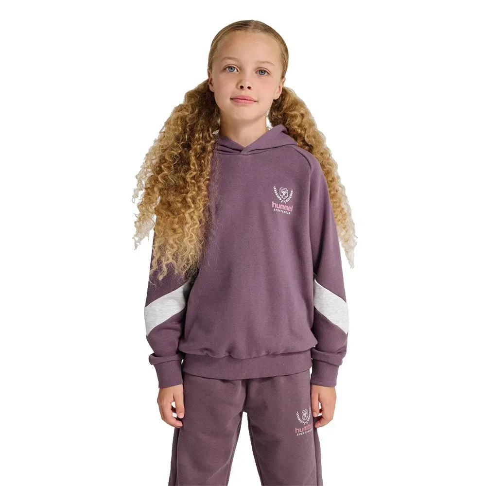 Худи свободного кроя Loose BTS Hummel, фиолетовый