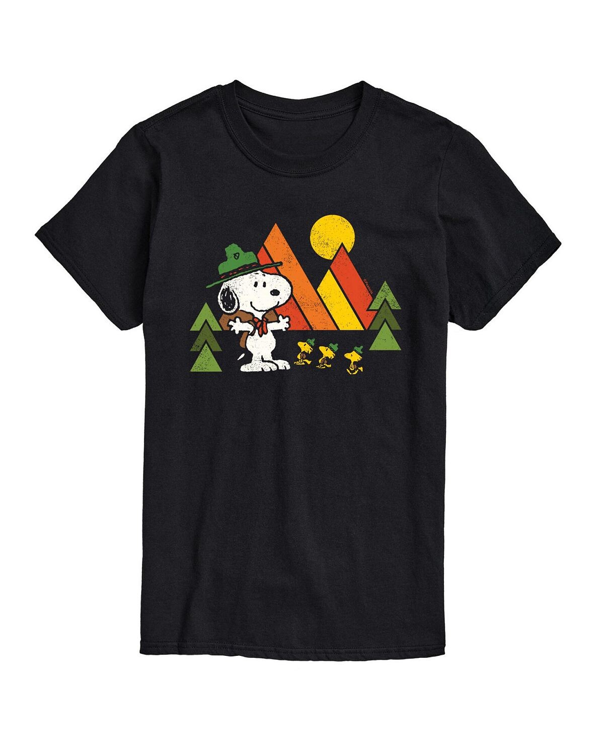 

Мужская футболка peanuts retro camping AIRWAVES, черный