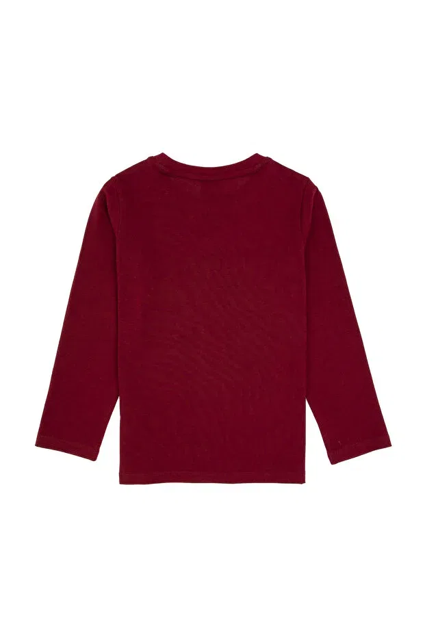 Детская толстовка для мальчиков с круглым вырезом U.S. Polo Assn., Burgundy — фото 2