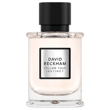 Парфюмерная вода David Beckham Follow Your Instinct, 50 мл