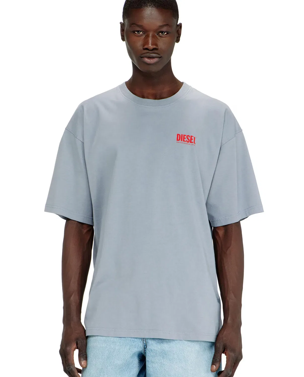 Мужская футболка с принтом Diesel Biscotto Diesel, Gris