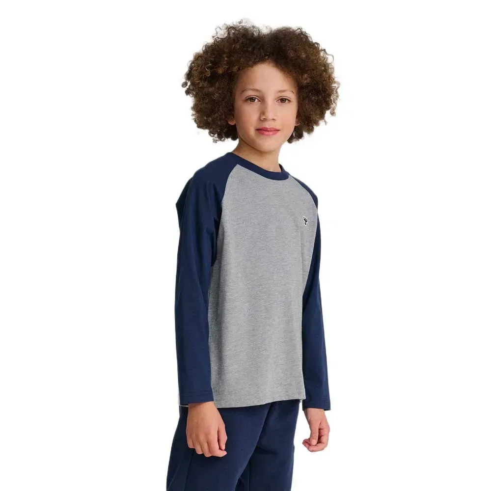 Футболка с длинным рукавом Raglan Loose Bee Hummel, серый