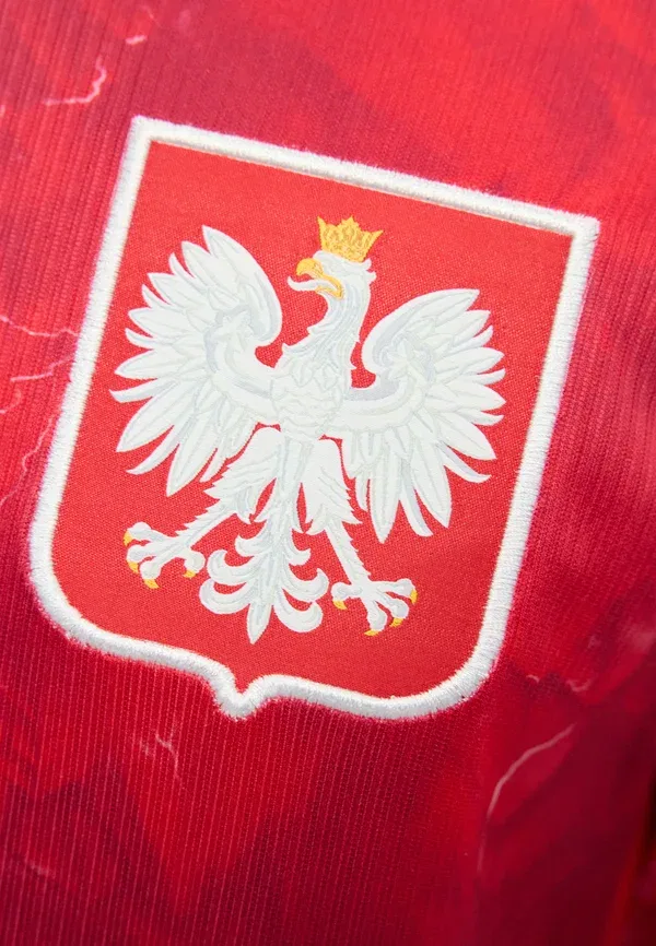 Футболка с принтом, быстросохнущая, National Team Wear, Nike Performance, Noble Red/Sport Red/White, белый/красный — фото 4