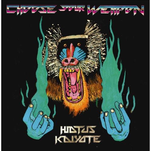 

CD диск Hiatus Kaiyote: Choose Your Weapon