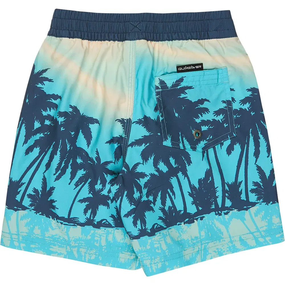 Плавки Everyday Printed Volley 13´´ Quiksilver, синий — фото 2