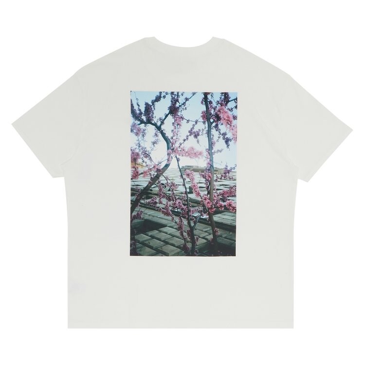 Футболка Fear of God Essentials Photo Series T-Shirt 'White', белый — фото 3