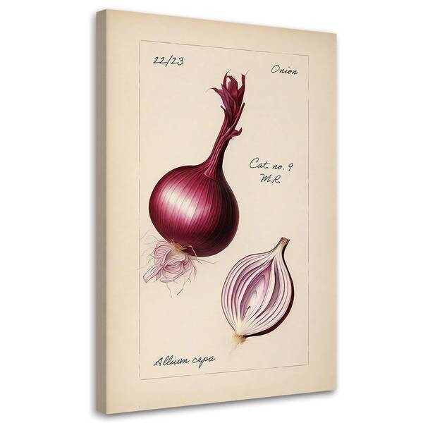

Картина арт-принт KUNSTLOFT Onion, бежевый