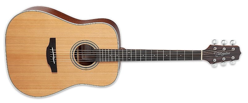 

Акустическая гитара Takamine GD20 Dreadnaught Acoustic Guitar, Solid Cedar Top, Okoume Back & Sides