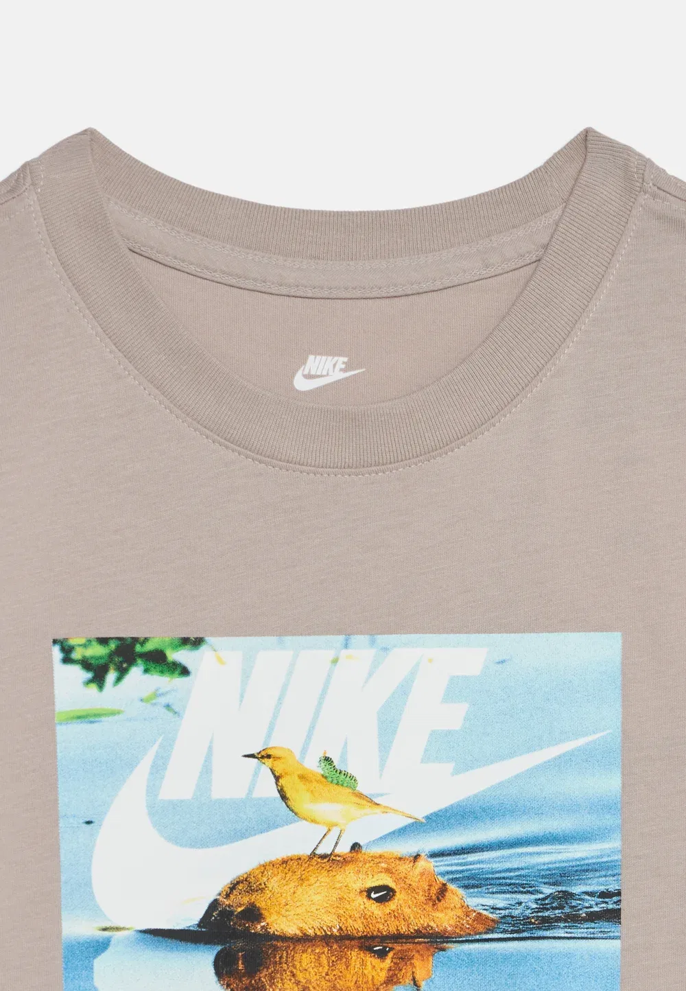 Футболка унисекс с принтом млекопитающих Nike Sportswear, Moon Particle — фото 3