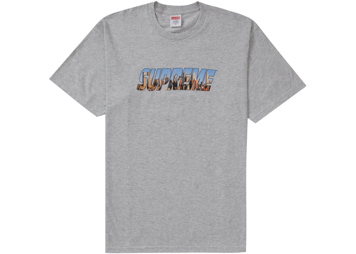 Мужская футболка с принтом Supreme Gotham Tee, Ash Grey