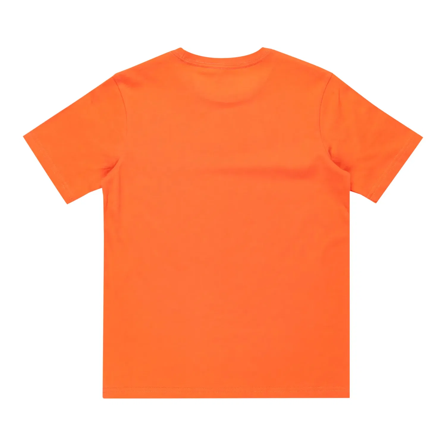 Детская футболка для мальчиков с принтом Ev Typed Out Quiksilver, Naranja — фото 2