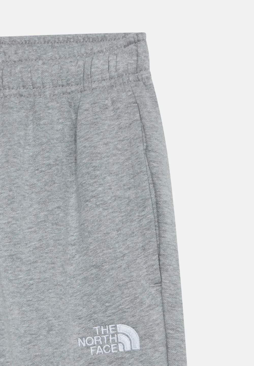 Спортивные брюки Evolution Simple Dome Pant унисекс - спортивные штаны The North Face, Pale Grey Heather — фото 3