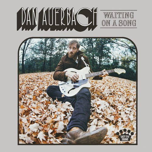 

CD диск Auerbach, Dan: Waiting on a Song