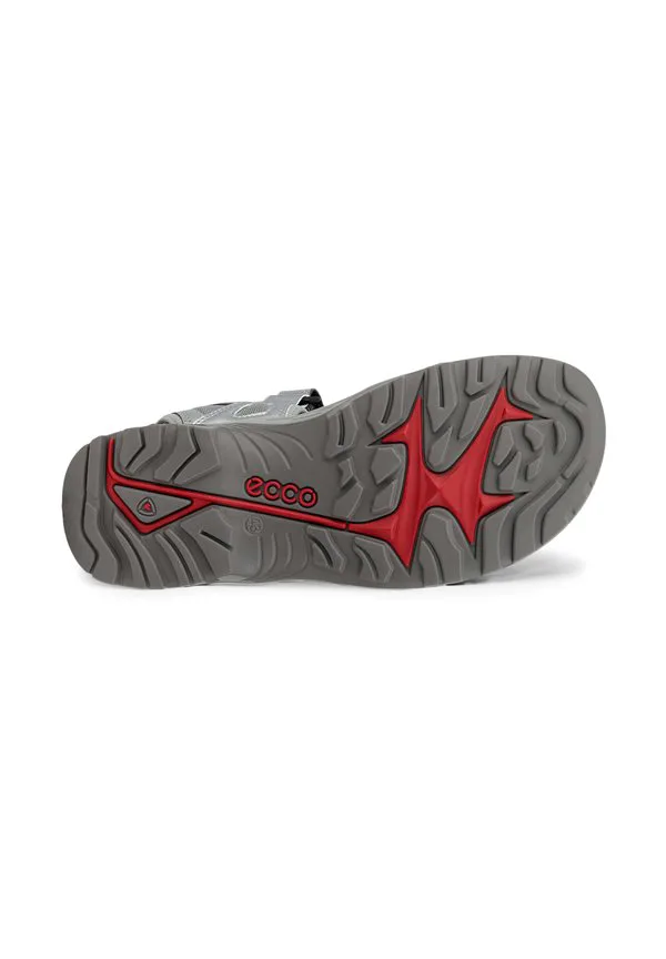 Светоотражающие сандалии для ходьбы offroad m 3s Ecco, Silver Reflective Wild Dove — фото 4