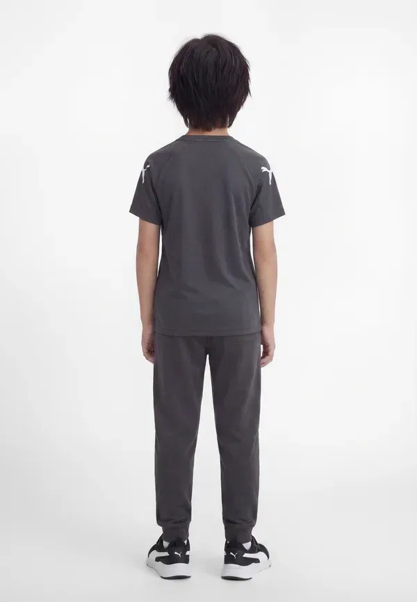Футболка с принтом Individualliga graphic unisex, Puma, Mineral Cobalt, Vapor Gray, Icy Blue, синий/серый — фото 2
