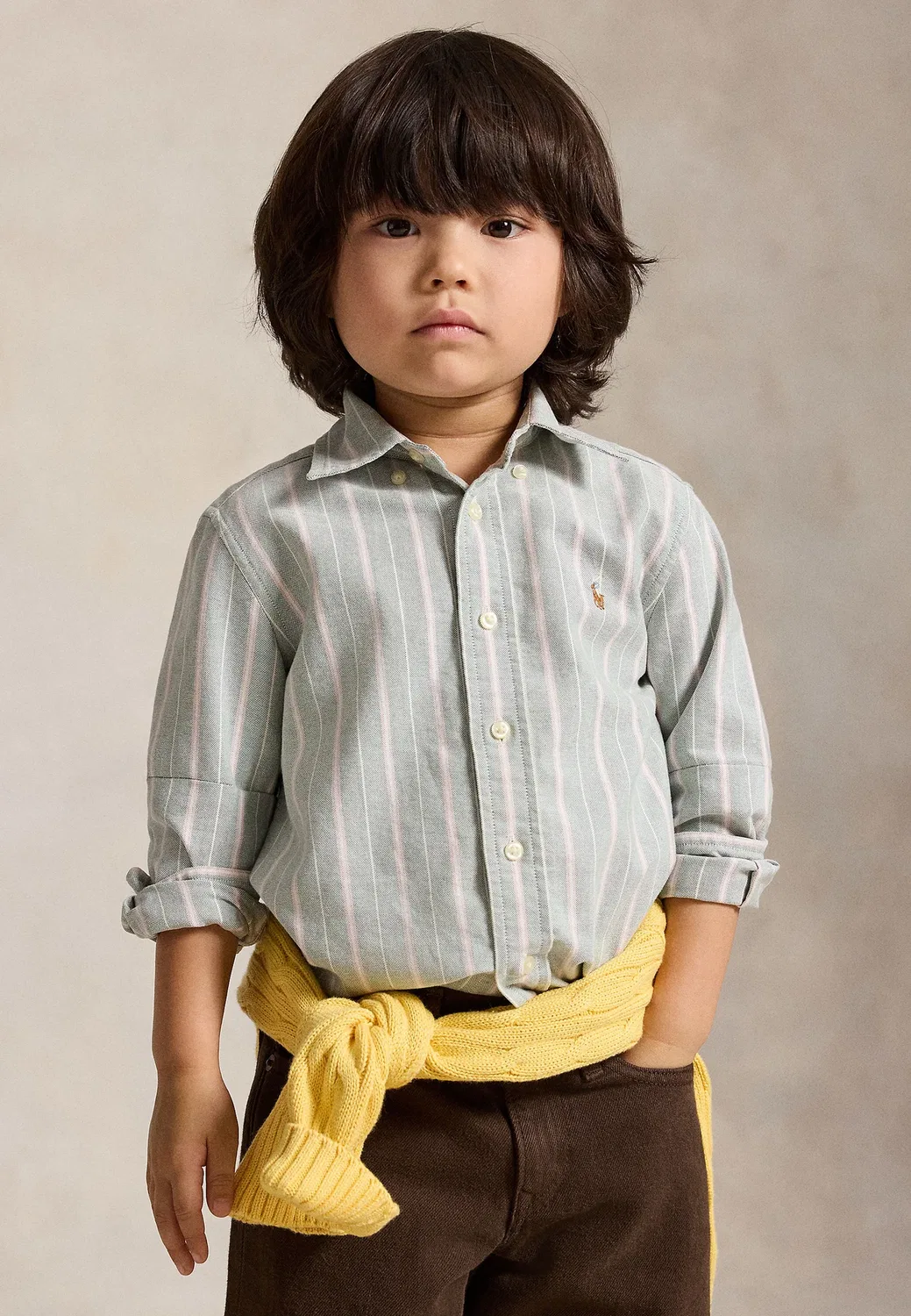 Полосатая хлопковая рубашка-оксфорд, размер 2-6 лет Polo Ralph Lauren, Forest Lavender Multi