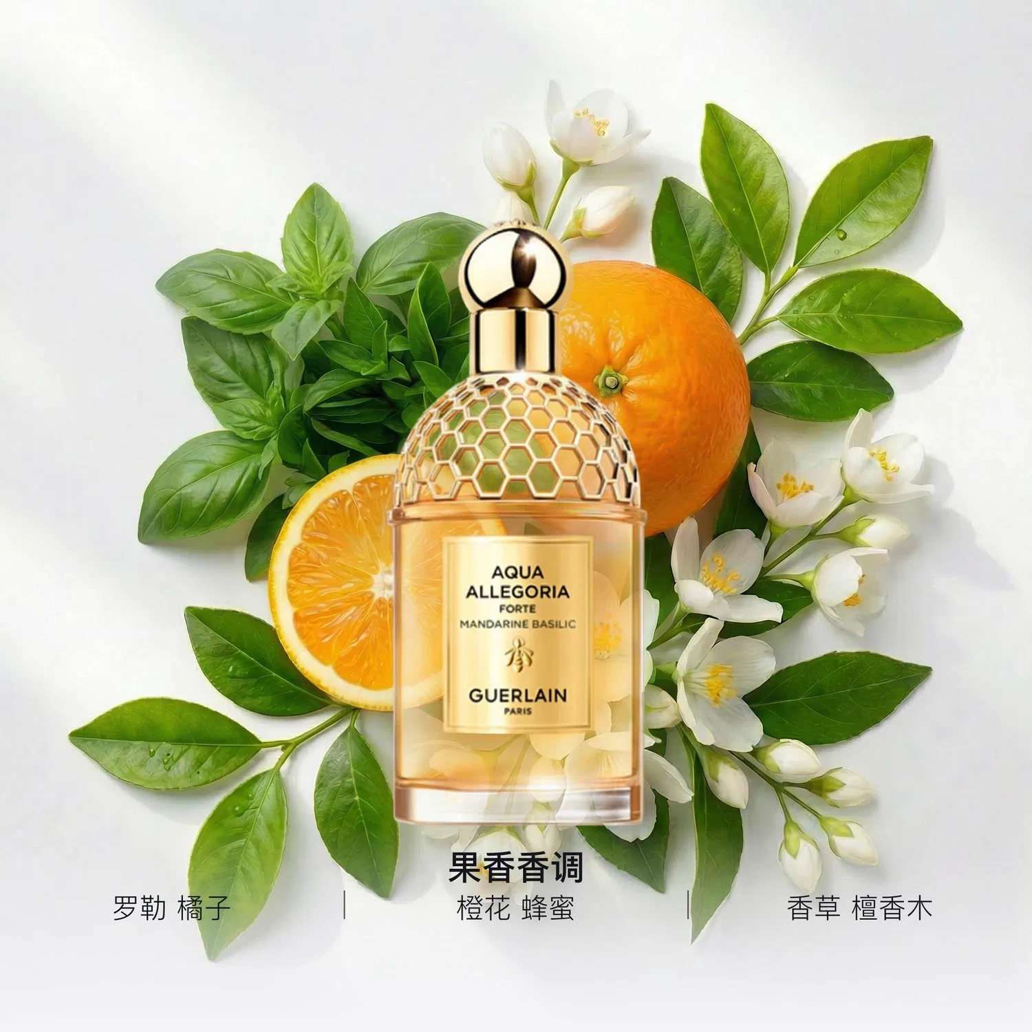 Женские духи Citrus Basil Intense, GUERLAIN, 75 мл — фото 2