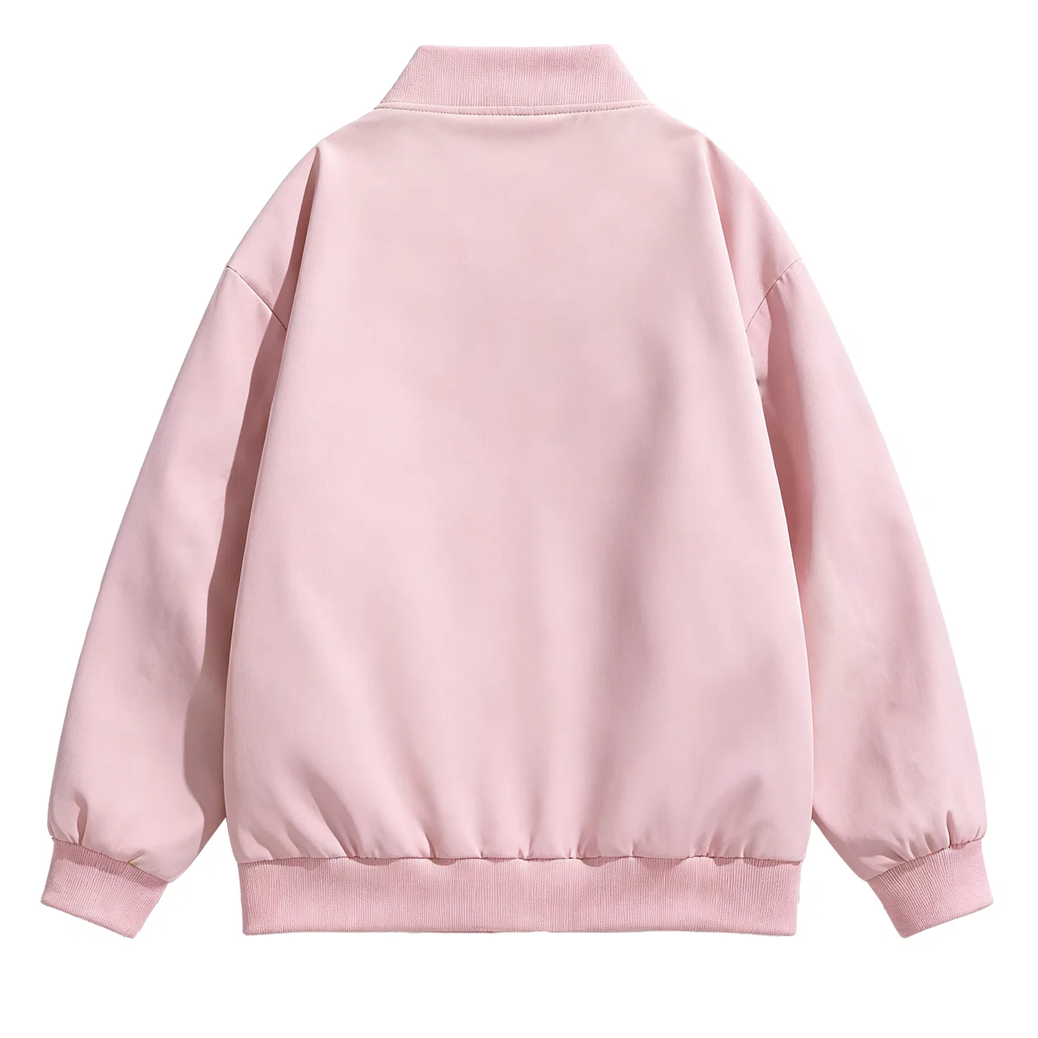 Детская куртка-бомбер с воротником-бейсбол, модель Unisex Baseball Collar Moderate Other, Dickies, Pure Black — фото 4