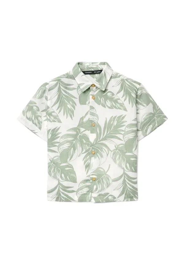 Рубашка с принтом джунгли Camicia maniche corte con stampa foglie Terranova, Pastel Green, пастельно-зеленый