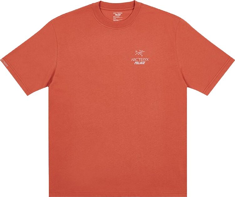 

Футболка Palace x Arc'teryx T-Shirt 'Ochre', оранжевый