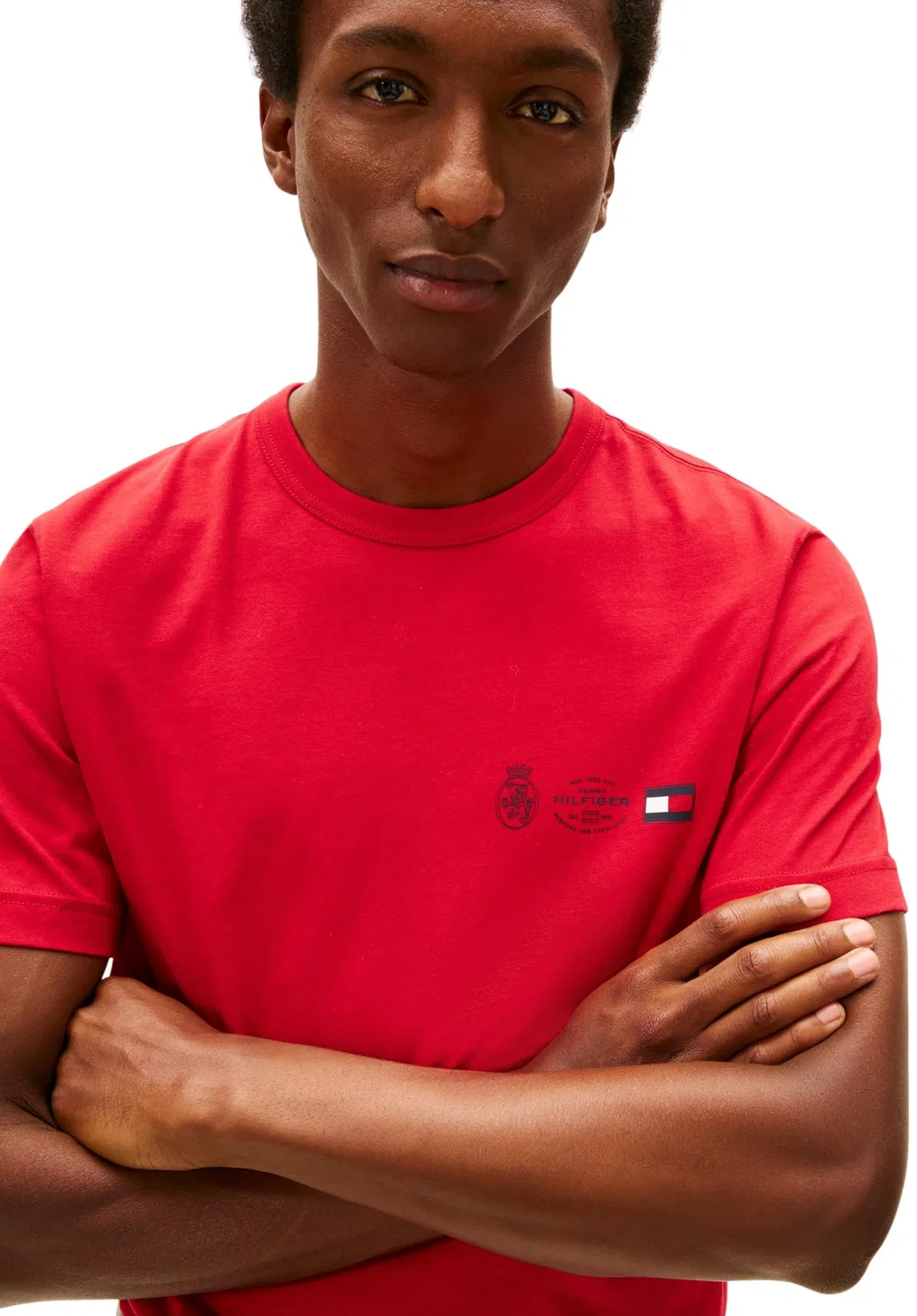 Мужская футболка с коротким рукавом Small Crest Outline Tommy Hilfiger, Red (Medium Red) — фото 3