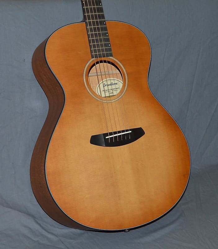 

2019 Breedlove - Concerto E - Cinnamon Burst