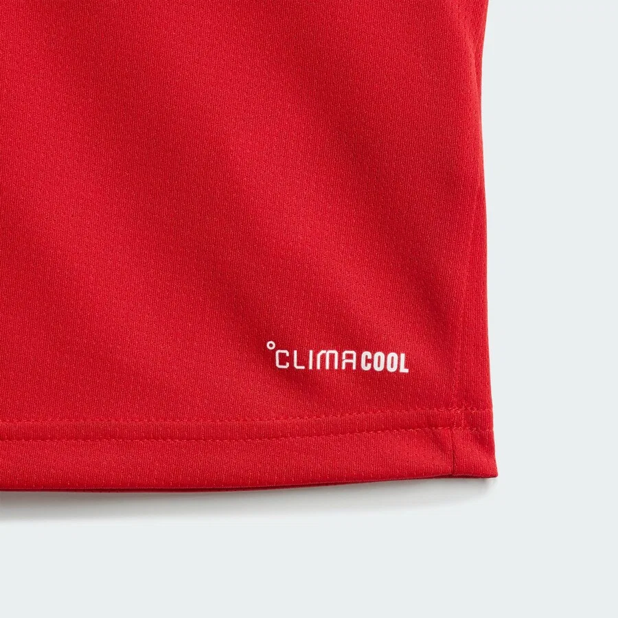 Спортивный костюм ADIDAS PERFORMANCE 'FC Arsenal 26/27' красного и темно-красного цвета — фото 4