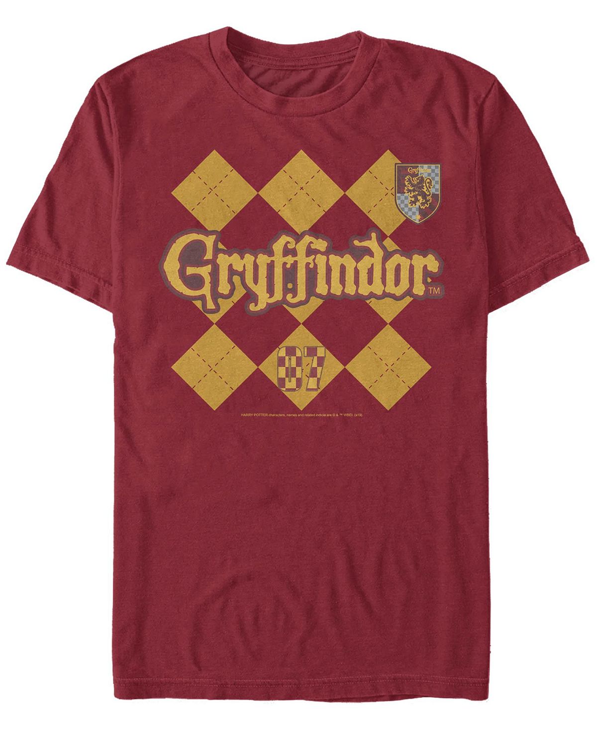 Мужская футболка с круглым вырезом и короткими рукавами gryffindor pride Fifth Sun - фото